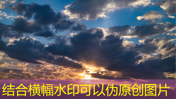 <strong>室内健身慢动作</strong>