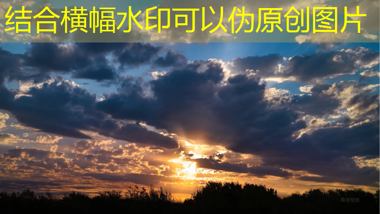 躲猫猫大赛 游戏小程序