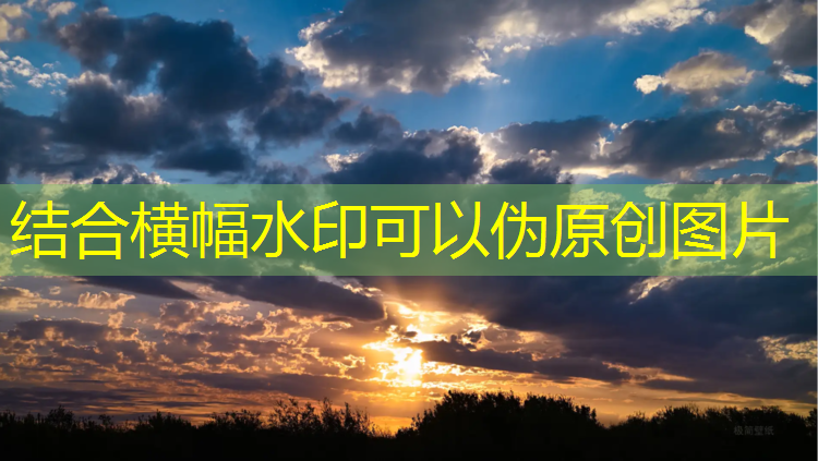 采蘑菇游戏小程序入口官网