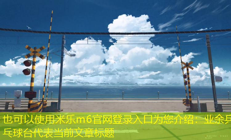业余乒乓球台