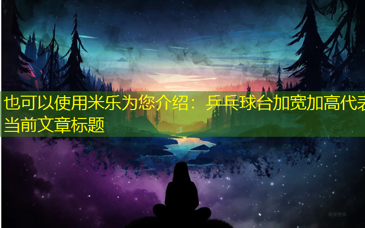 乒乓球台加宽加高